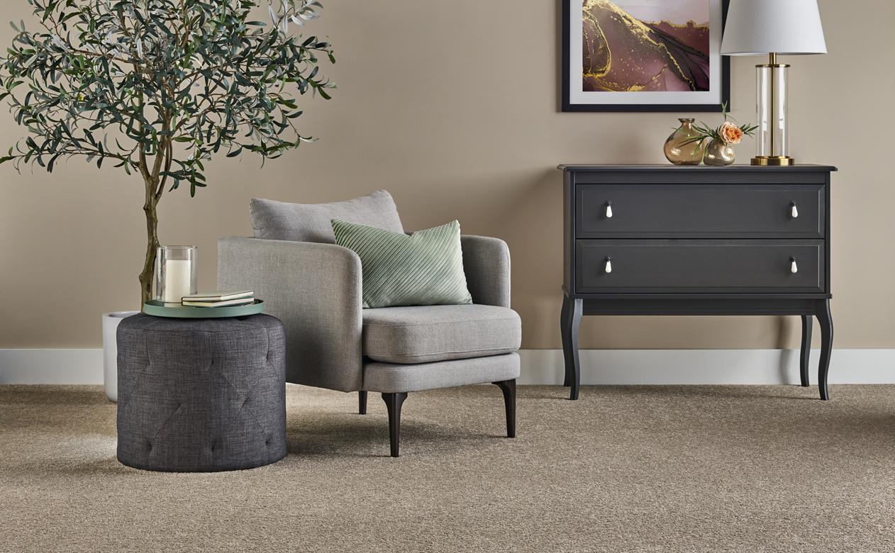 Light tan carpet in living room with charcoal ottoman and potted tree 