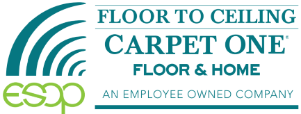 Carpet  Floor to Ceiling Carpet One Floor & Home