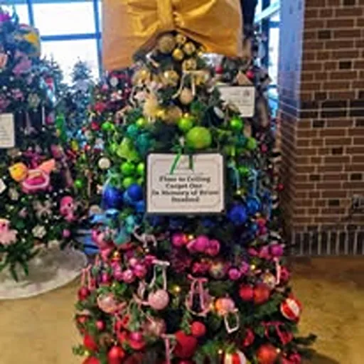 Floor to Ceiling spreads holiday cheer in Fargo, ND